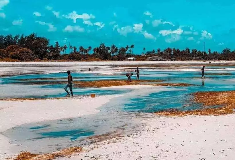 پانسیون Kwale Golden Guest House