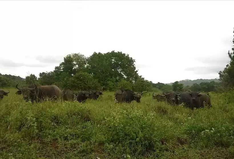 پانسیون Kwale Golden Guest House