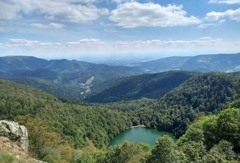 ペンション Les Sapins