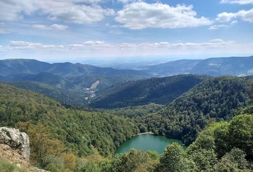 بنسيون Les Sapins