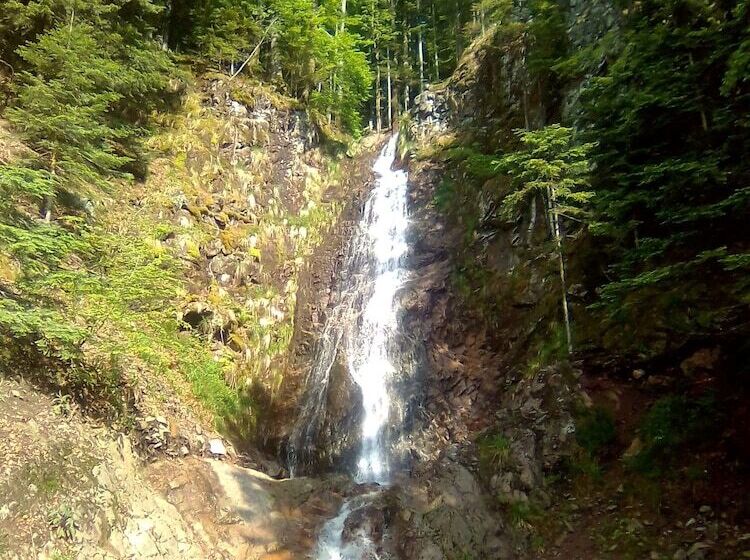 بنسيون Les Sapins