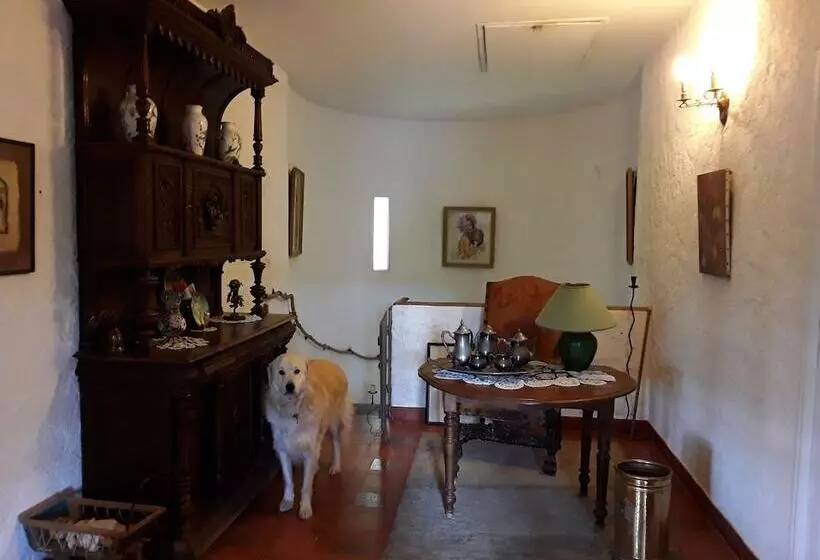 B&b La Tour D Augusta