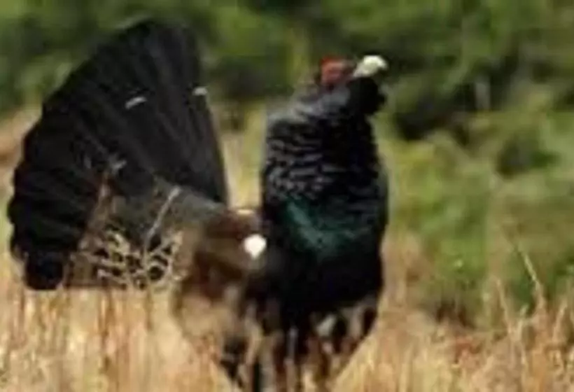 B&b Ma Maison Hautes Vosges