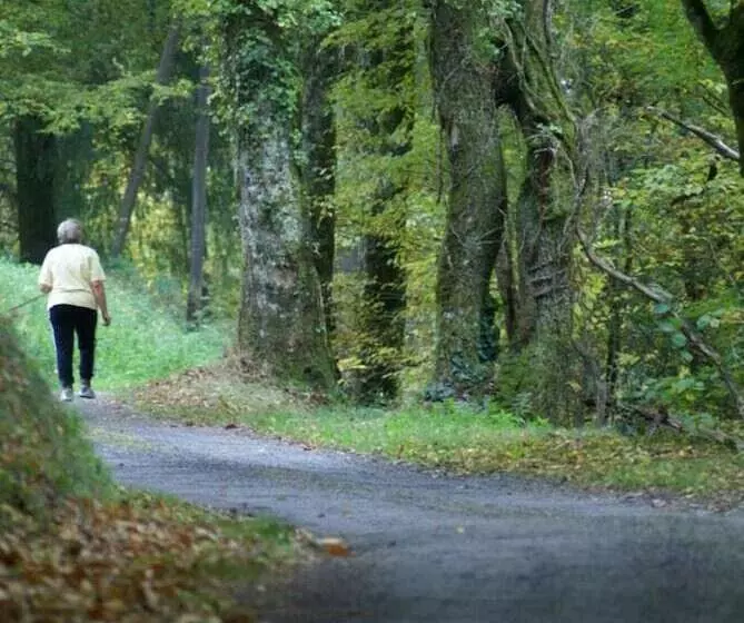 Aamiaismajoitus (B&B) Domisiladore