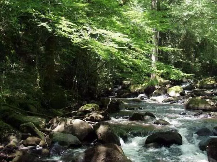 Aamiaismajoitus (B&B) Domisiladore