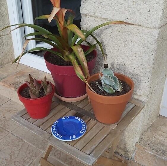 צימר Nezignan Paradisio