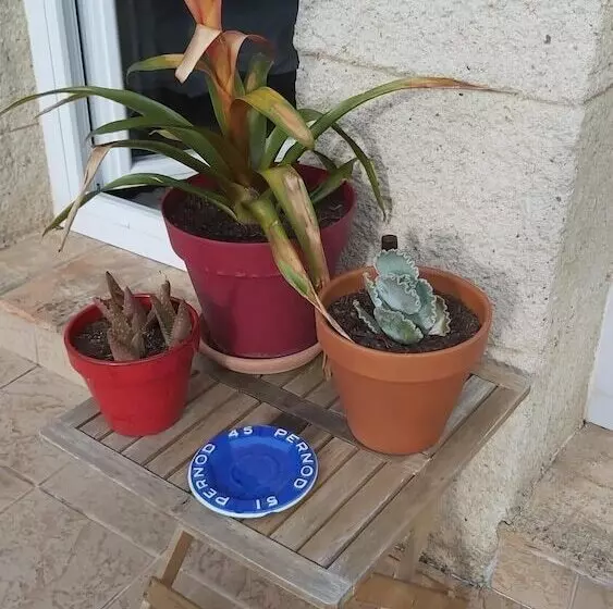 Aamiaismajoitus (B&B) Nezignan Paradisio