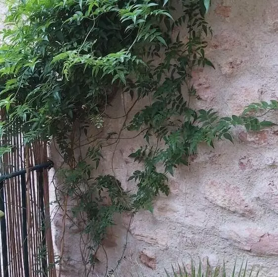 Aamiaismajoitus (B&B) Nezignan Paradisio