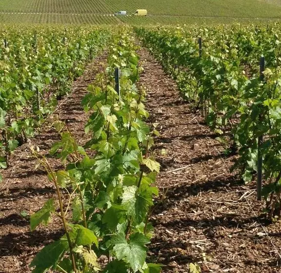 Gite Du Clos Pommier