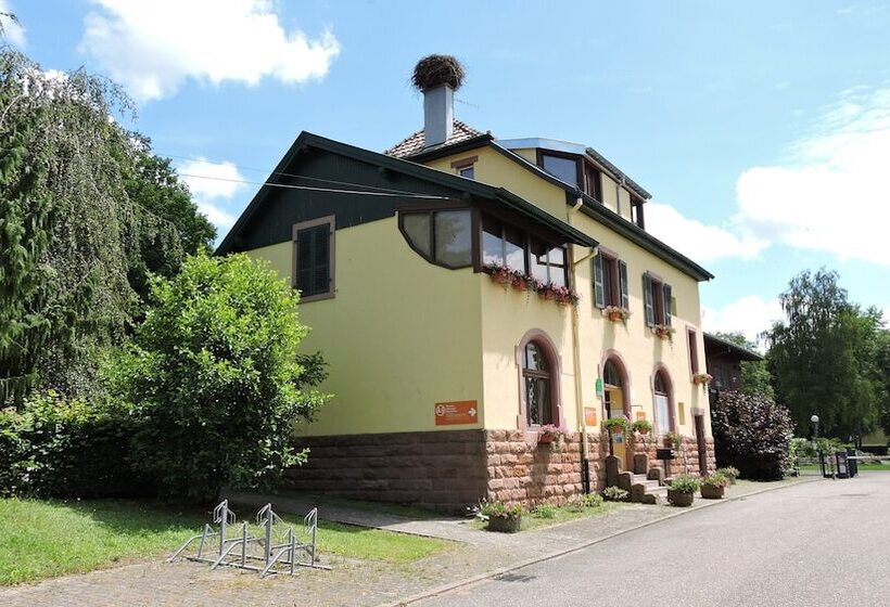 Отель Camping Les Lupins