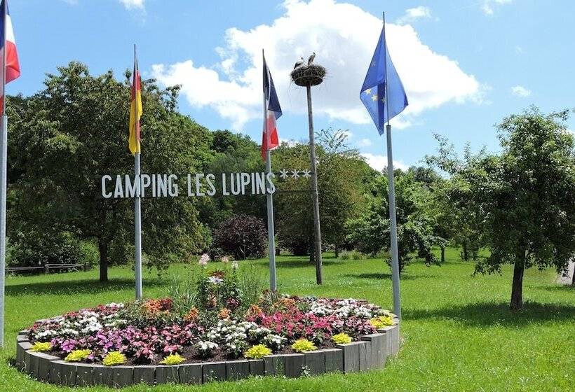 Отель Camping Les Lupins