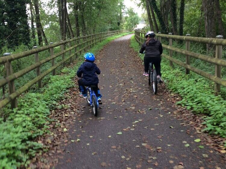 Отель Camping Les Lupins