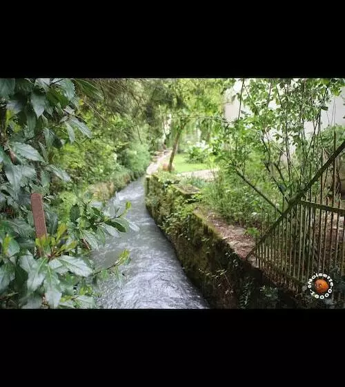 Pensione Brigitte Room