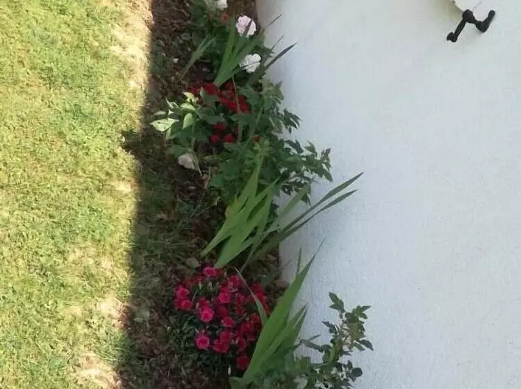 Pensione Brigitte Room