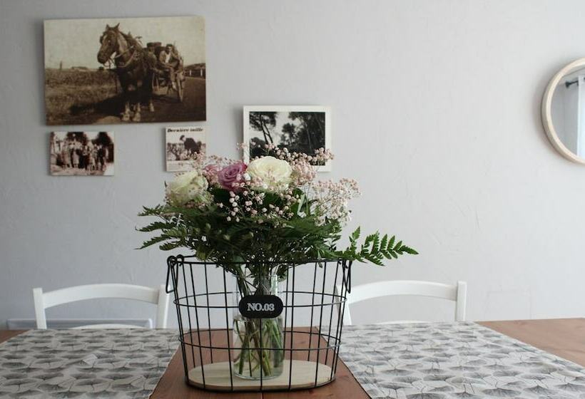 Bed and Breakfast Domaine Sainte Marie Des Ollieux