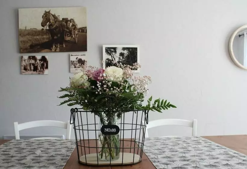 Aamiaismajoitus (B&B) Domaine Sainte Marie Des Ollieux