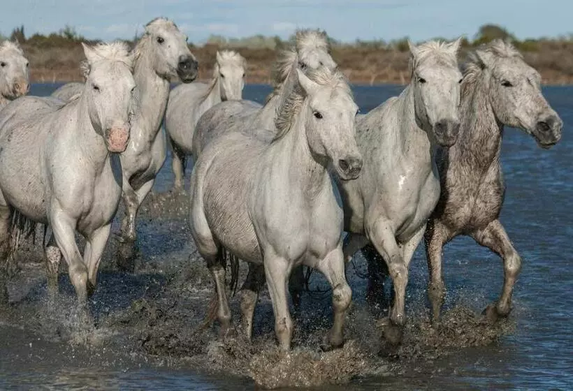 Aamiaismajoitus (B&B) Le Mas Des Brune