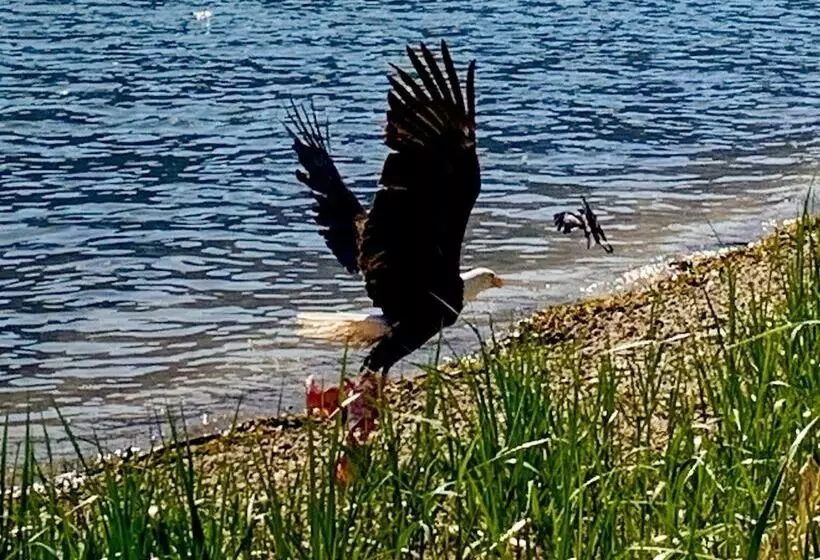 Aamiaismajoitus (B&B) Frigon Suite  Waterfront