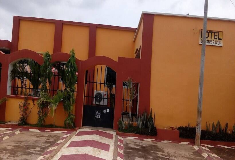 هتل Hôtel Cauris D Or