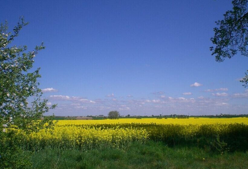 ホテル Nowa Holandia