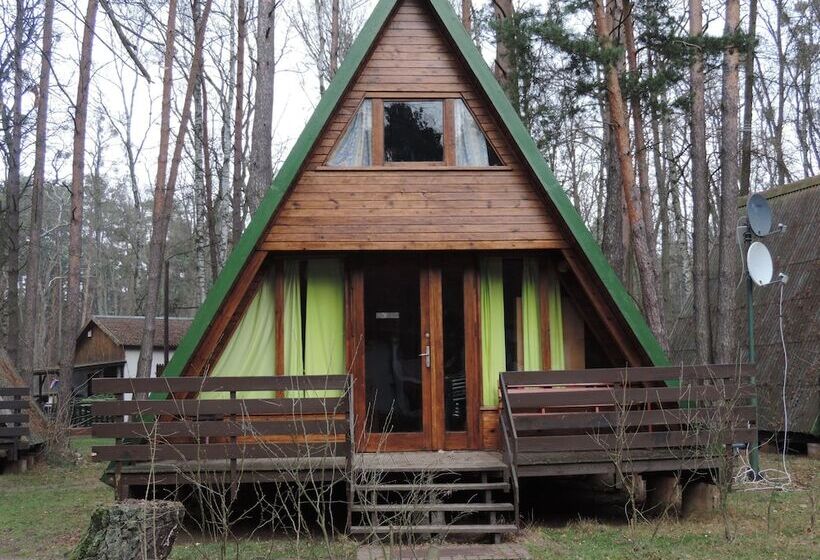 ホテル Nowa Holandia