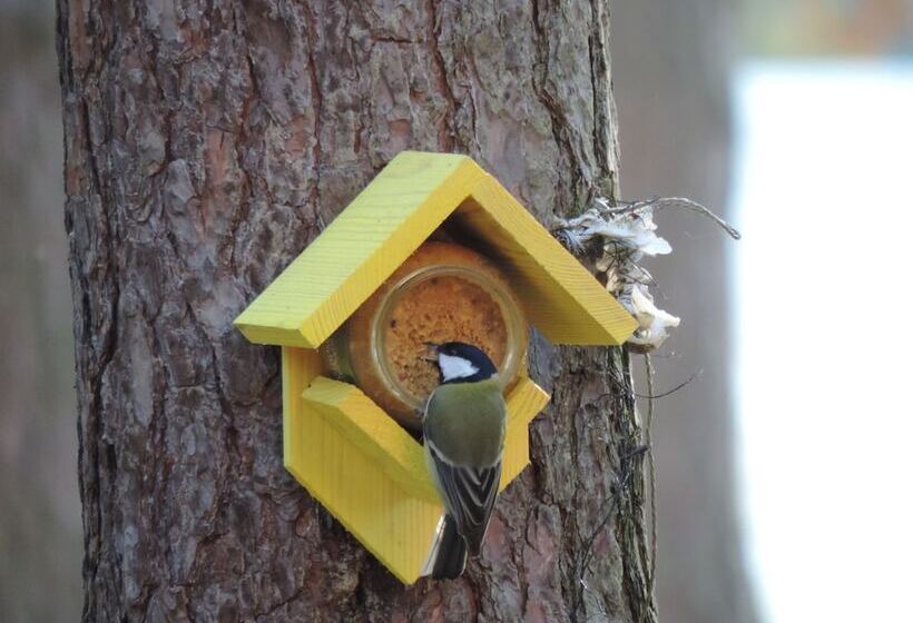 ホテル Nowa Holandia