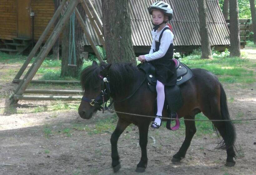 ホテル Nowa Holandia