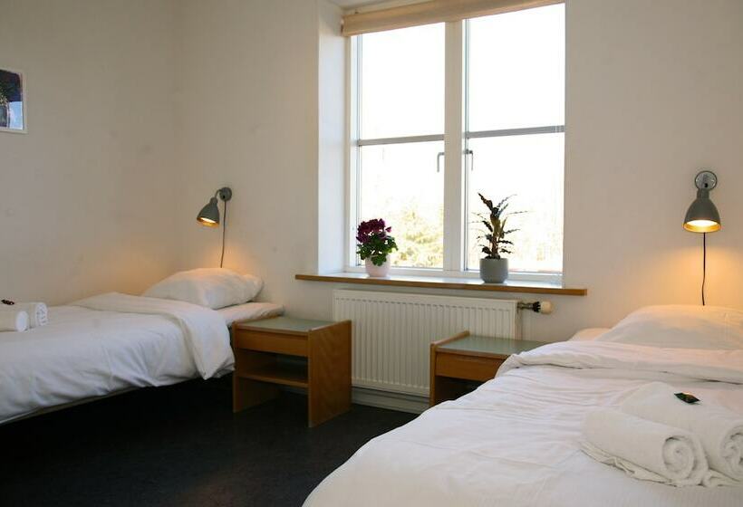 Nexø Modern Hostel. Private Rooms