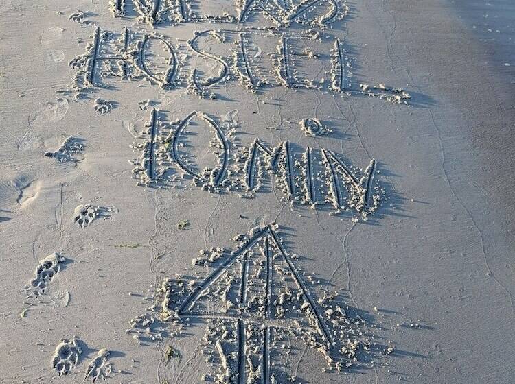 Nexø Modern Hostel. Private Rooms