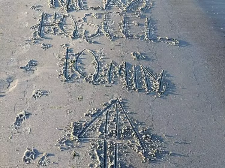 Nexø Modern Hostel. Private Rooms