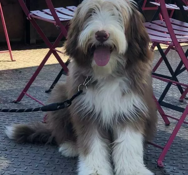 Majatalo La Bastide De Fontaille