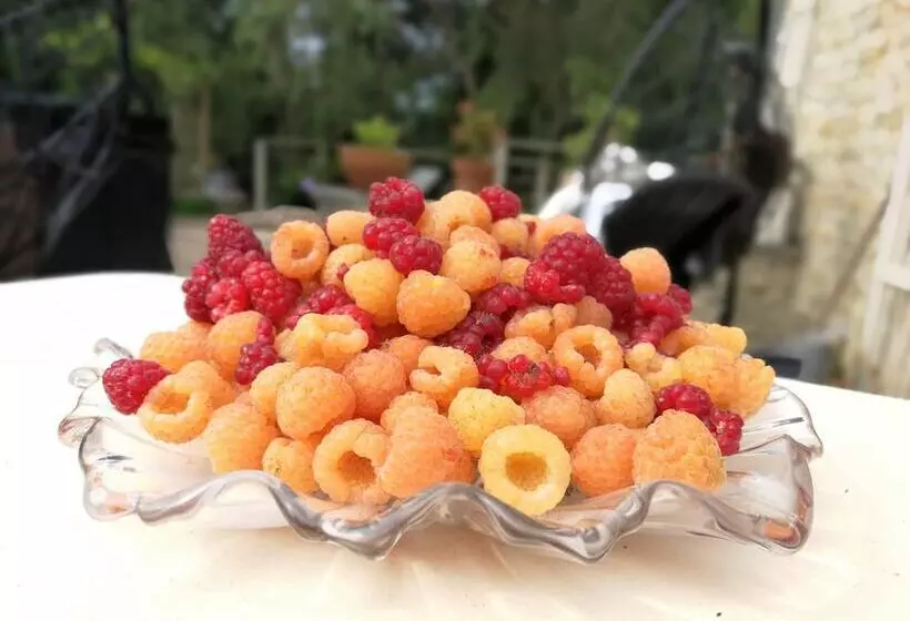 Majatalo Les 2 Gites Des Chambres De Capucine