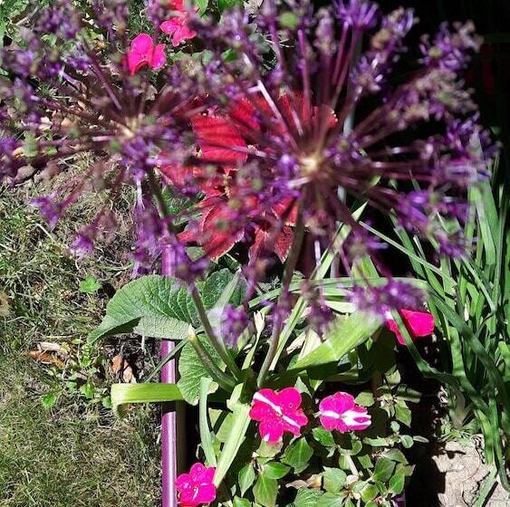 ペンション Louminai