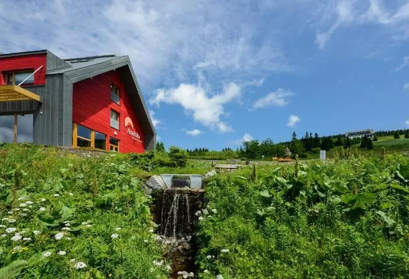 Majatalo Penzion Andula Friesovy Boudy