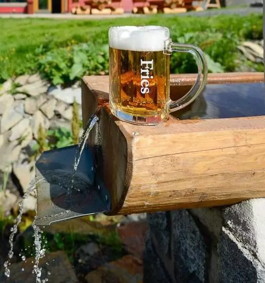 Majatalo Penzion Andula Friesovy Boudy