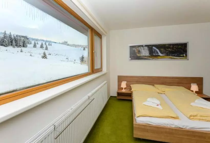 Majatalo Penzion Andula Friesovy Boudy