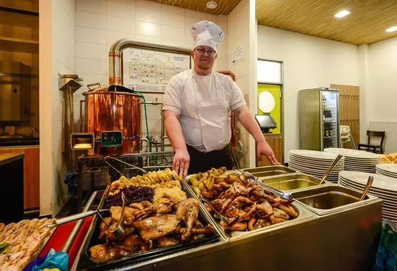 Majatalo Penzion Andula Friesovy Boudy