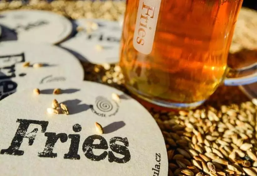 Majatalo Penzion Andula Friesovy Boudy