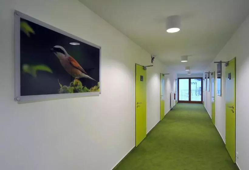 Majatalo Penzion Andula Friesovy Boudy