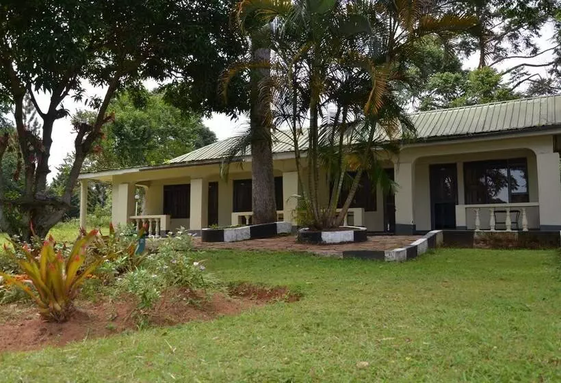 Ssese Islands Beach Hotel   Hostel