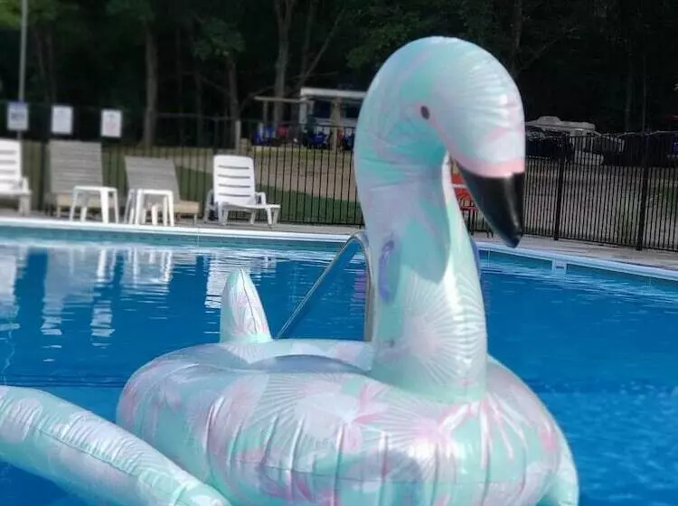 Hotelli Pere Marquette River Koa Campground