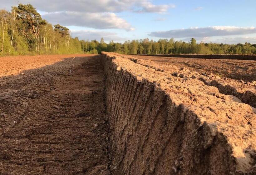 Пансион Gasthaus Beinker