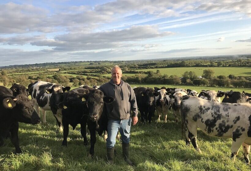 Webbington Farm Holiday Cottages