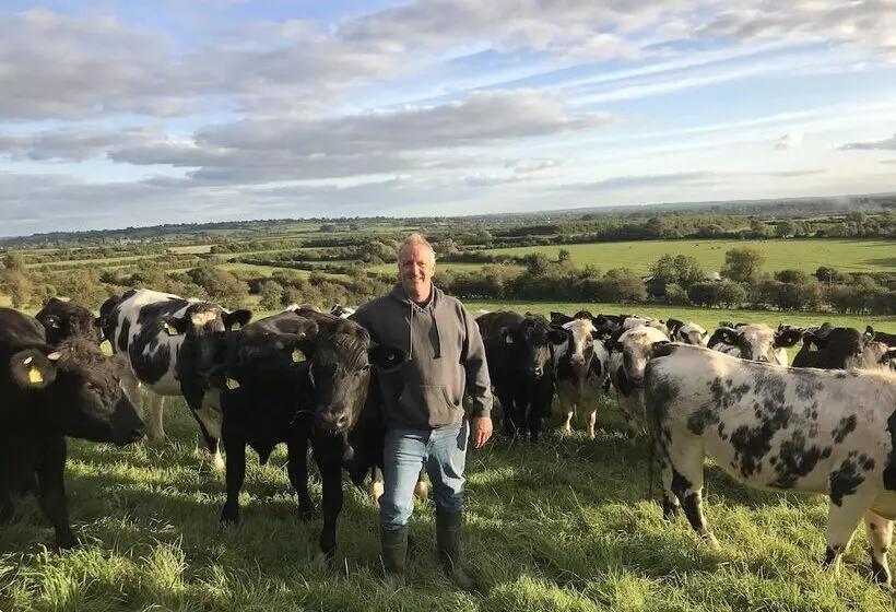 Webbington Farm Holiday Cottages