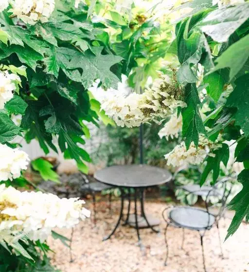 ホテル The Morehead Inn