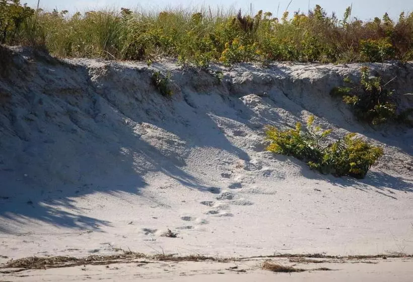 فندق Old Harbor Inn