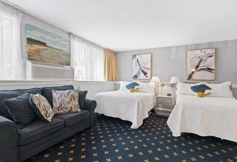 Отель The Niantic Inn