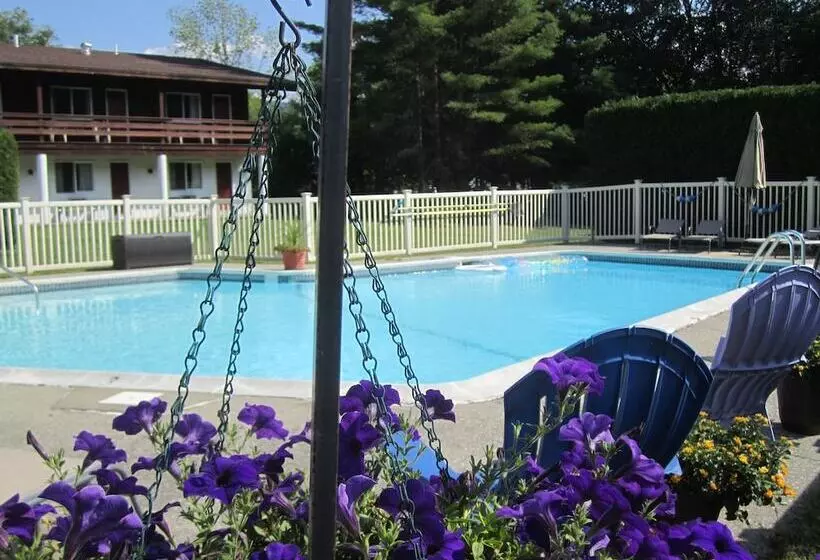 ホテル The Olympia Lodge