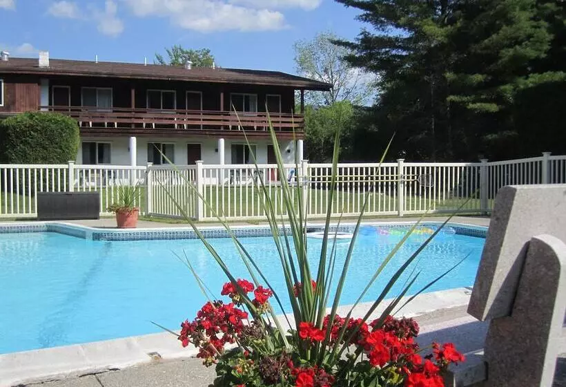 ホテル The Olympia Lodge