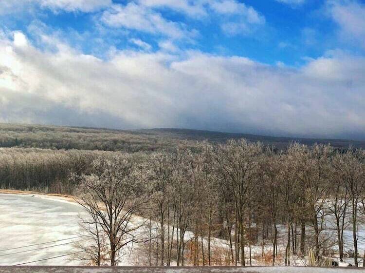 Mountain Laurel Resort